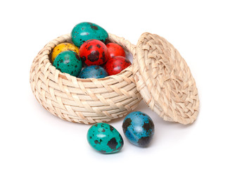 quail easter eggs in basket on white