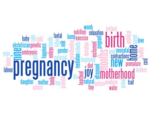 Fototapeta premium PREGNANCY Tag Cloud (pregnant woman maternity birth mother baby)