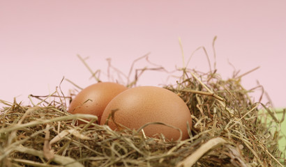 Zwei frische Eier im Stroh