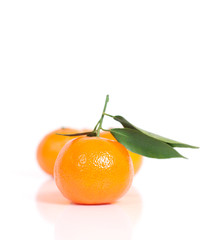 mandarin