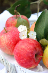 Three red apples in a basket.