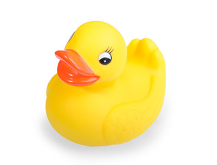 Yellow duck toy