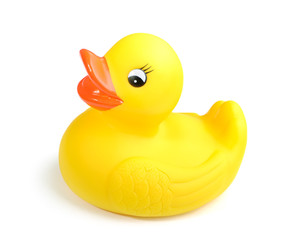 Yellow duck toy