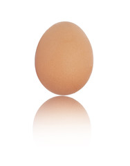 One egg on white background