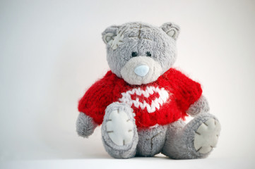 Teddybear in red pullover