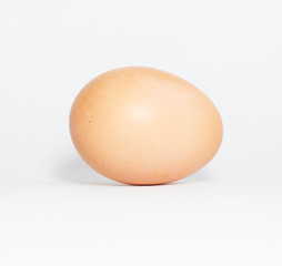 One egg on white background