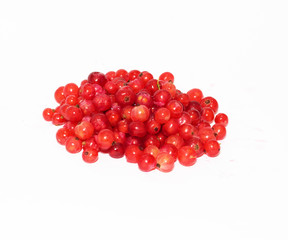 red currant on white background