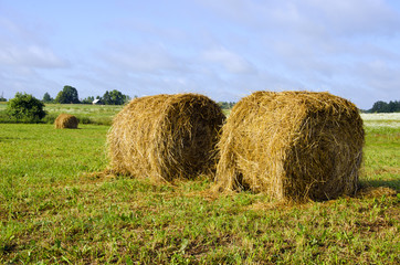 Twisted haystack in meadow animal feed for winter