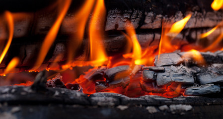 Bonfire close-up view
