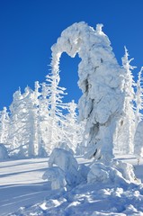 Zimowy krajobraz - widok ze Szrenicy, Szklarska Poręba - obrazy, fototapety, plakaty