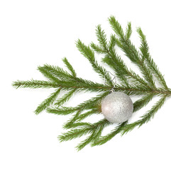 Fototapeta na wymiar xmas tree ball hanging on a Christmas tree branch, isolated