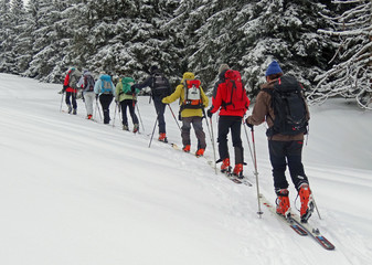 Ski de randonnée