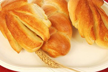 Bread on tray 012