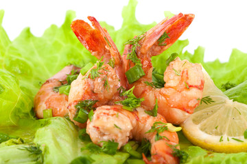 Tiger Prawns