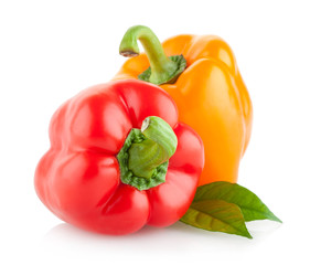 colored paprika peppers isolated on white background