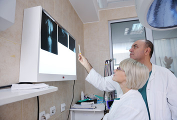 Obraz premium veterinarian and assistant in a small animal clinic