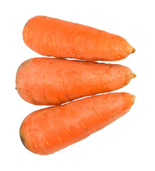 Carrots isolated on white