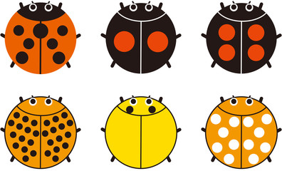 テントウムシ６種