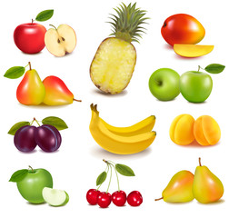 Big group of different fruit. Vector.