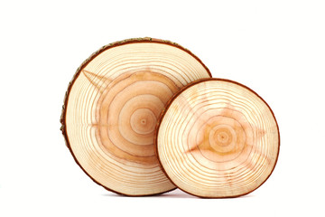 Tree rings texture isolated on white.