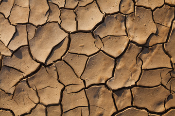 Cracked earth in dry desert.