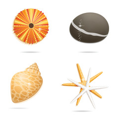 creative and colored tropical symbols set