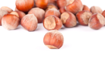 Hazelnuts on the white isolated background