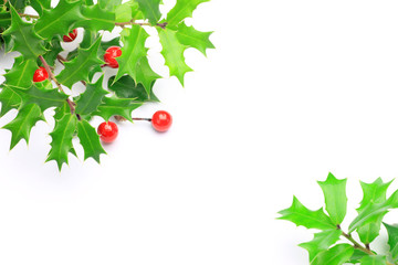 holly