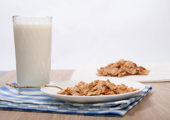 composition of milk and flocks