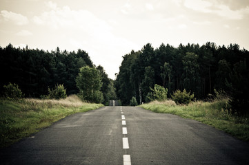 Fototapeta na wymiar empty aspalt road across the forest to horizon