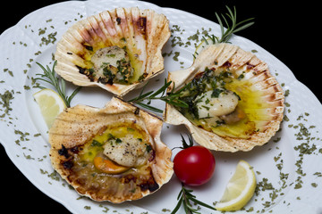Scallop shell baked in oven isolated on black