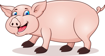 Pig cartoon
