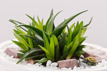 Obraz premium flower in the white pot