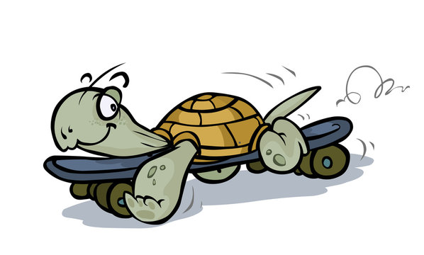 Cartoon Turtle on Skateboard.
