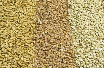 Hafer, Weizen und Buchweizen