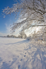 Eislandschaft am Flussufer der Vils