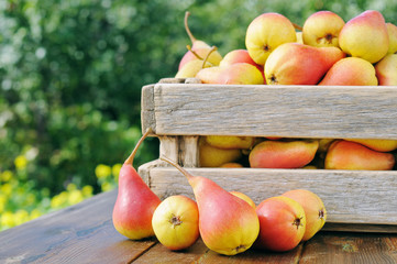 Pears in a wooden box.