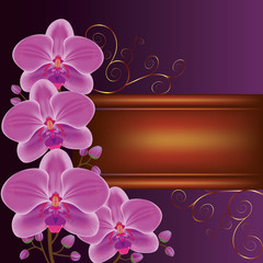 Background with exotic flower orchids, decorated with golden cur