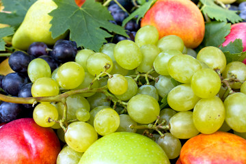 Different fresh organic fruits