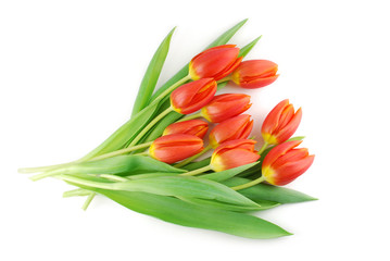 Herz aus 10 roten Tulpen - Ein Dankeschön
