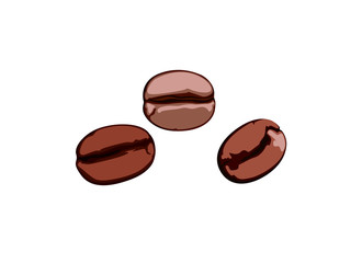 three coffee beans on white background