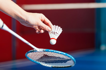 Badminton in einer Turnhalle - Hand mit Ball - obrazy, fototapety, plakaty
