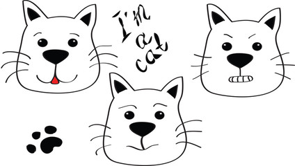 Cat with a different mood