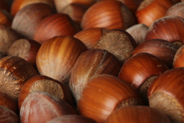 hazelnut texture