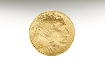 1 ounce gold coin