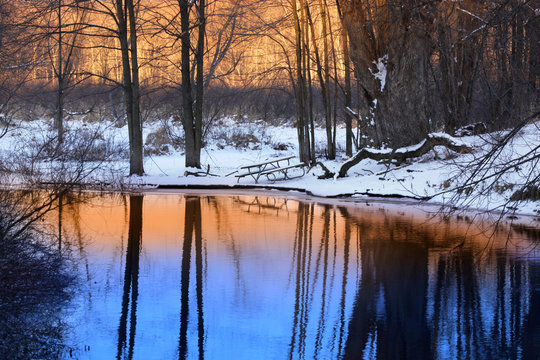 Evening sun light reflection in the small pond