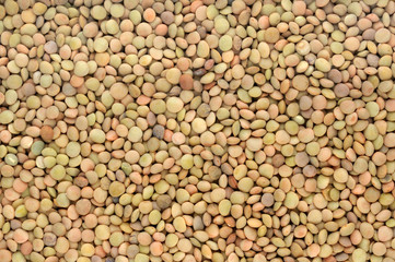 background of brown lentils