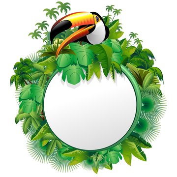 Tucano Sfondo Giungla-Toucan on Jungle Label Background-Vector