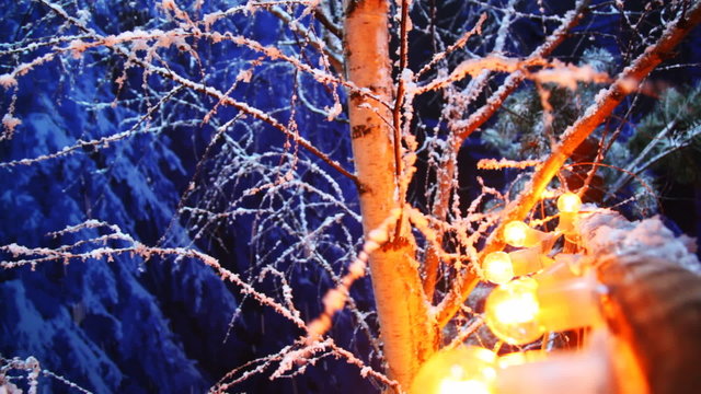 snowy birch and garland of yellow lamps in winter night