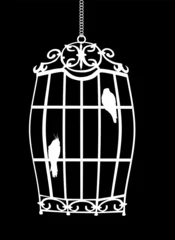 Papier Peint photo Lavable Oiseaux en cages oiseaux en cage isolés sur fond noir